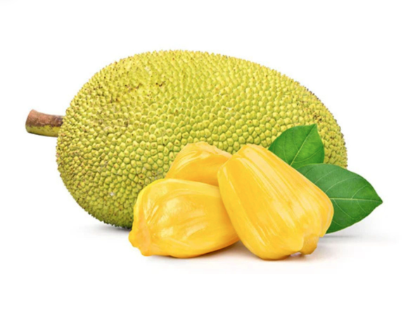 Jackfruit (unpegged)