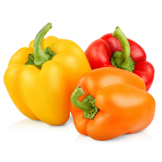 Bell Peppers (Coloured)