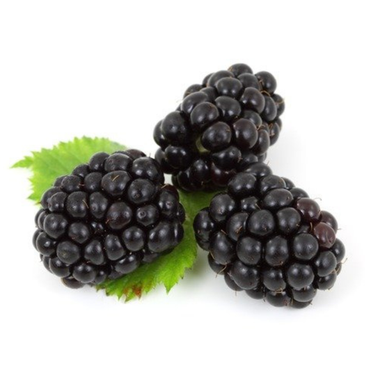 Blackberries 6oz (imported)