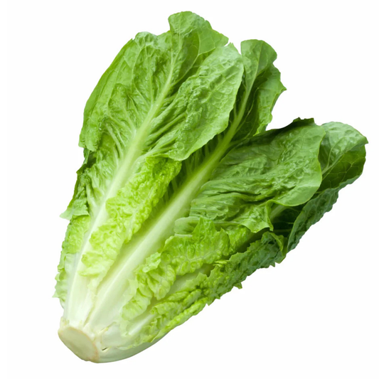Romaine Lettuce (local)