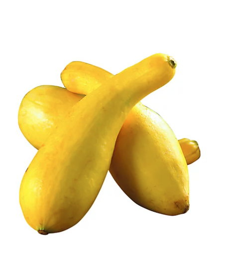 Squash Yellow (local)