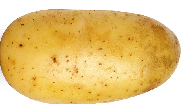 Potato