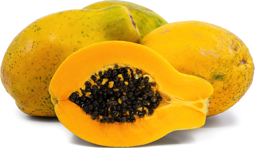 Papaya